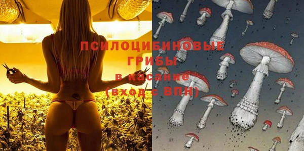 мдпв Куйбышев